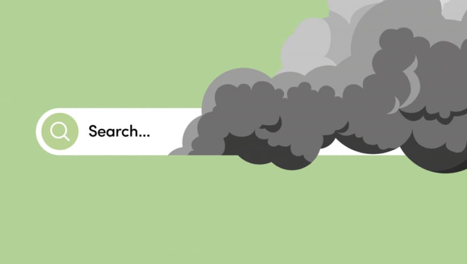 sustainability article image